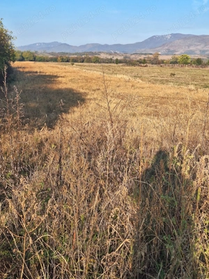 Teren Intravilan - imagine 2