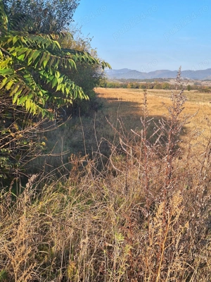 Teren Intravilan - imagine 3