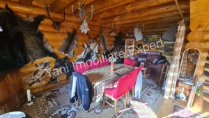 Casă de vacanță de vânzare pe Valea Vâlsanului, în comuna Brăduleț, sat Brădetu, județ Argeș. - imagine 4