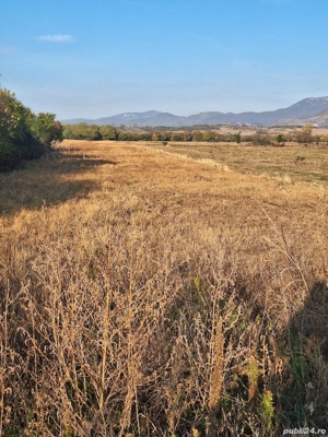 Teren Intravilan - imagine 5