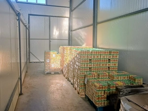 De vanzare afacere de productie Mustar de Tecuci(COMPLETA,LA CHEIE) - imagine 4