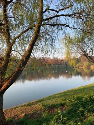 PROMOTIE! 2 camere cu terasa - Serban Voda - Tineretului - Carol