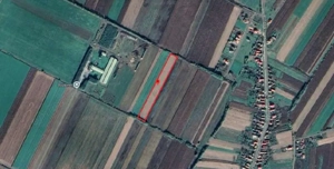 Teren extravilan com. Botiz, jud. Satu Mare, - imagine 2