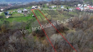 Teren de vânzare în comuna Valea Iasului, sat Cerbureni, județ Argeș. - imagine 17