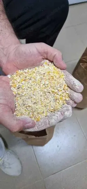 porumb, spartura porumb, malai furajer, uruiala marunta, mazare, si altele