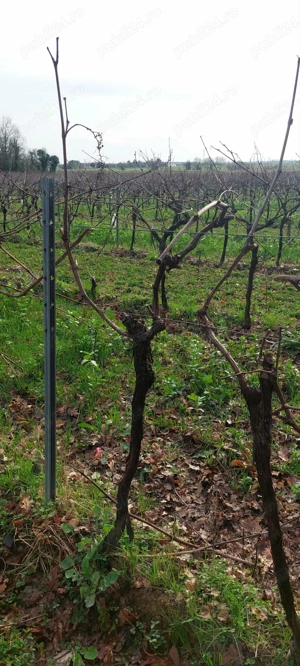 Angajari Taiat La Vie (in Franta) - imagine 3 Angajari Taiat La Vie (in Franta) - imagine 3