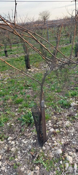 Angajari Taiat La Vie (in Franta) - imagine 4 Angajari Taiat La Vie (in Franta) - imagine 4