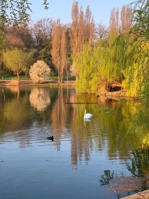 Promotie! 3 camere cu terasa - Serban Voda - Tineretului - Carol