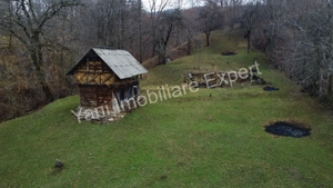 Teren de vânzare în comuna Arefu, județ Argeș. - imagine 12