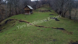 Teren de vânzare în comuna Arefu, județ Argeș. - imagine 2