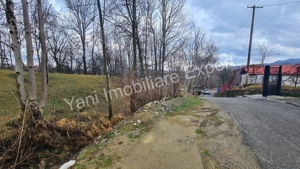Teren de vânzare în comuna Arefu, județ Argeș. - imagine 16