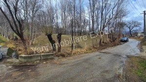 Teren de vânzare în comuna Arefu, județ Argeș. - imagine 14