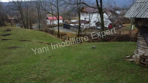 Teren de vânzare în comuna Arefu, județ Argeș. - imagine 13