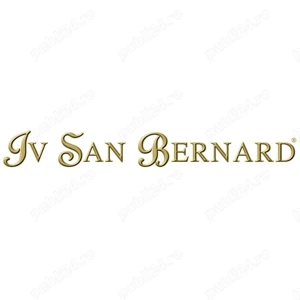 Angajăm Brand Manager   Agent de Vânzări