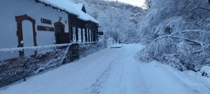 Vand afacere Cabana ANNASTASIA Vadu Crisului - imagine 8