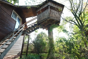 Com. Ileana - Calarasi, 4000 mp. teren si casa de vacanta cu deschidere la Balta - imagine 6