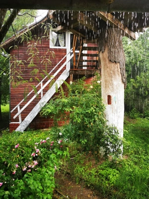 Com. Ileana - Calarasi, 4000 mp. teren si casa de vacanta cu deschidere la Balta - imagine 9