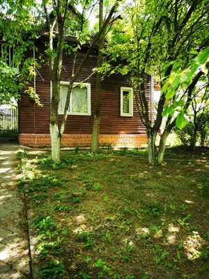 Com. Ileana - Calarasi, 4000 mp. teren si casa de vacanta cu deschidere la Balta - imagine 8