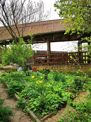 Com. Ileana - Calarasi, 4000 mp. teren si casa de vacanta cu deschidere la Balta - imagine 10