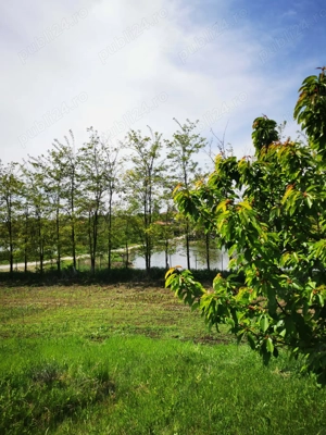 Com. Ileana - Calarasi, 4000 mp. teren si casa de vacanta cu deschidere la Balta - imagine 15