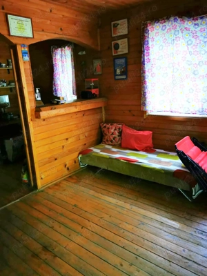 Com. Ileana - Calarasi, 4000 mp. teren si casa de vacanta cu deschidere la Balta - imagine 12