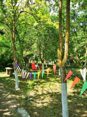 Com. Ileana - Calarasi, 4000 mp. teren si casa de vacanta cu deschidere la Balta - imagine 17