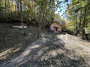 Proprietate  de vanzare PITESTI : 3 dormitoare, 2 bai, living generos; complet mobilata si utilata ! - imagine 9