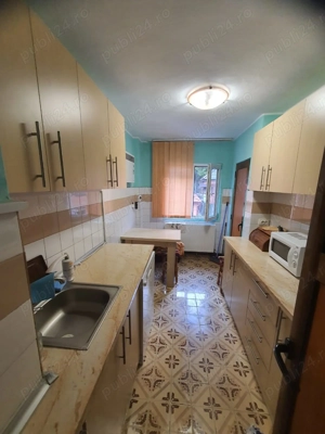 Apartament Baile Herculane - imagine 5