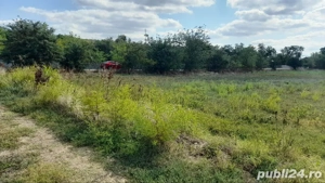 Vind 2 terenuri =Vatra de Casa= 2000 mp  intravilan si unTeren intravilan 2000mp intravilan  - imagine 7