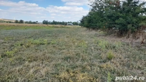 Vind 2 terenuri =Vatra de Casa= 2000 mp  intravilan si unTeren intravilan 2000mp intravilan  - imagine 6