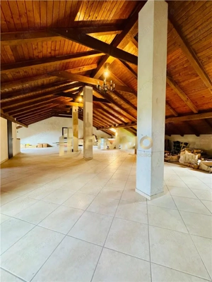 Vila impresionanta | Burdujeni | 16 ari | ID: 1446 - imagine 20