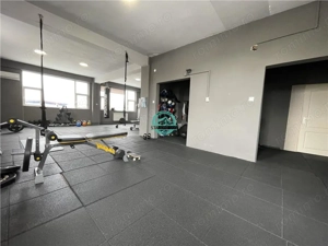 Spatiu cu suprafata de 160 mp utili de inchiriat zona Autogara Voiajor - imagine 7