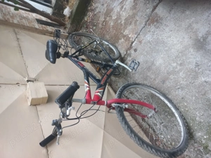 Bicicleta First Bike 