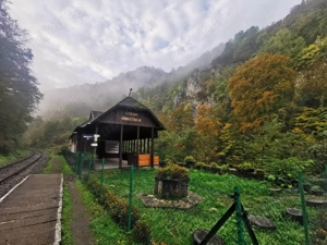 Vand afacere Cabana ANNASTASIA Vadu Crisului - imagine 10
