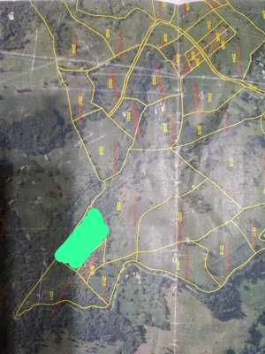 Vând Teren EXTRAVILAN TRANSPUSEANA 7548 mp-sat Măcărești, comuna Ponor - imagine 6