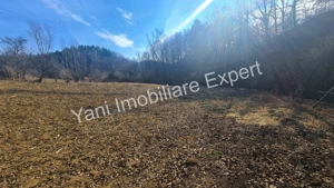 Casă bătrânească + 10.076 mp teren de vânzare în comuna Cepari, Județ Argeș. - imagine 20