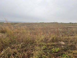 35euro/mp! Valea Lupului! Teren intravilan,28m l,oportunitate investitie! - imagine 2