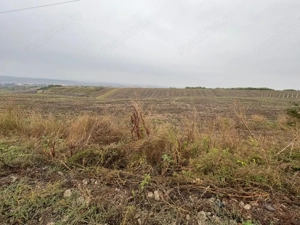 35euro/mp! Valea Lupului! Teren intravilan,28m l,oportunitate investitie! - imagine 3