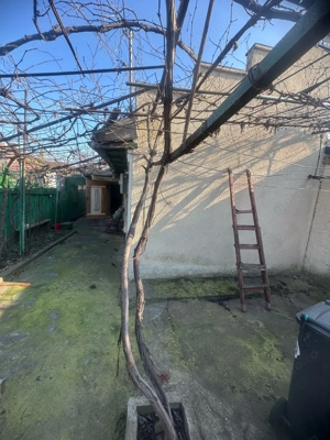 Teren MARE - case demolabile Coiciu - imagine 5