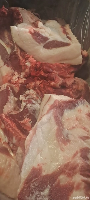 de vanzare carne proaspata de porc 