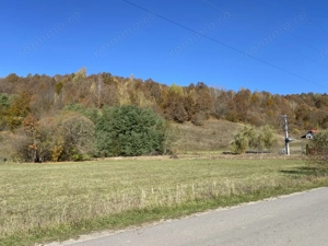 Teren intravilan in Lueta, zona turistica Baile Chirui - imagine 5