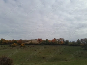 De vanzare,Tomnatic Bihor