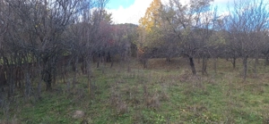 Spațiu Generos pentru Visul Tău - imagine 3