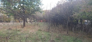 Spațiu Generos pentru Visul Tău - imagine 5