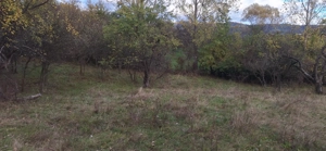 Spațiu Generos pentru Visul Tău - imagine 6