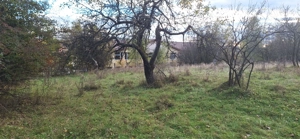 Spațiu Generos pentru Visul Tău - imagine 7