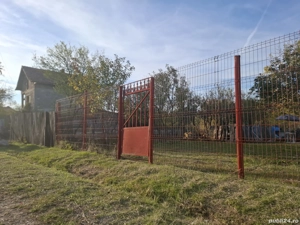 Curte Construcție cu pomi fructiferi