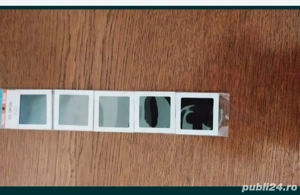 Roma,Ventia ,Washinton - imagine 2