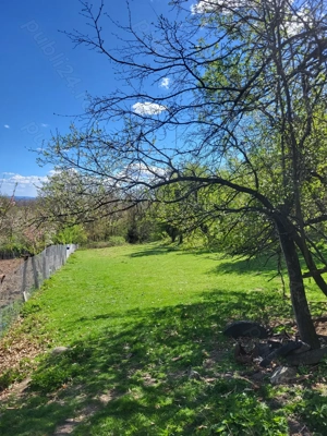 Vand 2 case batranesti in Musetesti Gorj - imagine 2