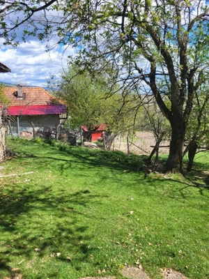 Vand 2 case batranesti in Musetesti Gorj - imagine 4